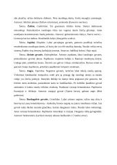 Gyvačių rūšys 5 puslapis