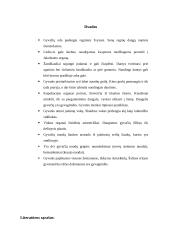 Gyvačių rūšys 6 puslapis