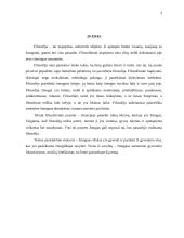 Gyvenimo filosofija 2 puslapis