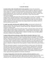 Gyvenimo kokybė ir vyriausybinis reguliavimas 5 puslapis