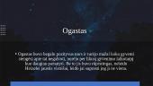Dėl mūsų likimo ir žvaigždės kaltos: knygos pristatymas 6 puslapis