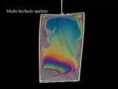 Interferencija 20 puslapis