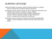 Orai ir jų stebėjimas 2 puslapis