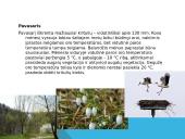 Orai ir jų stebėjimas 4 puslapis