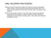 Orai ir jų stebėjimas 8 puslapis