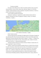 Nestandartinių situacijų gabenant gėles analizė ir sprendiniai 15 puslapis