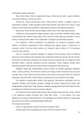 Nestandartinių situacijų gabenant gėles analizė ir sprendiniai 20 puslapis