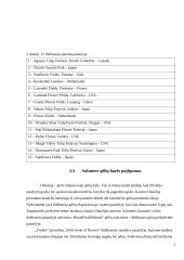 Nestandartinių situacijų gabenant gėles analizė ir sprendiniai 6 puslapis