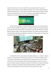 Nestandartinių situacijų gabenant gėles analizė ir sprendiniai 7 puslapis