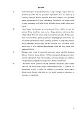 Gyvenimo prasmės klausimas žmogaus gyvenime 9 puslapis