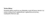 Krovinių transportavimo vidaus vandens keliais tyrimai 2 puslapis
