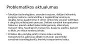 Krovinių transportavimo vidaus vandens keliais tyrimai 4 puslapis