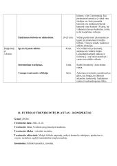 Laisvalaikio sporto studijų programos praktikos ataskaita. Treniruočių planai - konspektai 15 puslapis