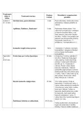Laisvalaikio sporto studijų programos praktikos ataskaita. Treniruočių planai - konspektai 16 puslapis