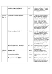 Laisvalaikio sporto studijų programos praktikos ataskaita. Treniruočių planai - konspektai 18 puslapis