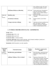 Laisvalaikio sporto studijų programos praktikos ataskaita. Treniruočių planai - konspektai 2 puslapis