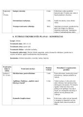 Laisvalaikio sporto studijų programos praktikos ataskaita. Treniruočių planai - konspektai 5 puslapis