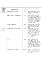 Laisvalaikio sporto studijų programos praktikos ataskaita. Treniruočių planai - konspektai 7 puslapis