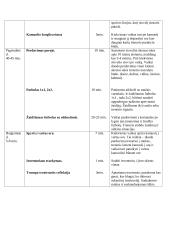 Laisvalaikio sporto studijų programos praktikos ataskaita. Treniruočių planai - konspektai 9 puslapis