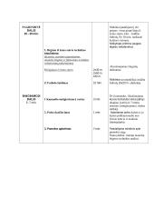 Kūno kultūros pamokos planas – konspektas 2 puslapis