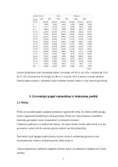 Gyventojai pagal lytį, amžių, santuokinę ir šeimyninę padėtį 7 puslapis