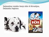 Skaidrės apie Kroatiją 12 puslapis