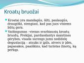 Skaidrės apie Kroatiją 4 puslapis