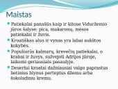 Skaidrės apie Kroatiją 6 puslapis