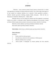Gyventojų mokesčių administravimas 2 puslapis