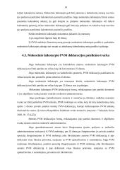 Gyventojų mokesčių administravimas 13 puslapis