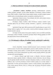 Gyventojų mokesčių administravimas 17 puslapis