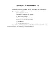Gyventojų mokesčių administravimas 3 puslapis