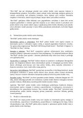 Prekės ženklo vertės žemėlapio konstravimas 2 puslapis