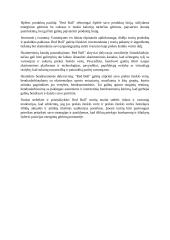 Prekės ženklo vertės žemėlapio konstravimas 3 puslapis