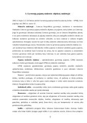Gyventojų pajamų mokestis: objektas, mokėtojai, tarifai, taikymo problemos ir jų sprendimo būdai 4 puslapis