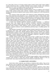 Gyventojų užimtumo programos 11 puslapis