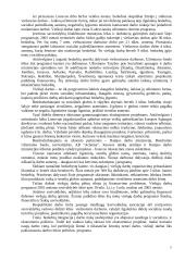 Gyventojų užimtumo programos 7 puslapis