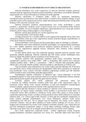 Gyventojų užimtumo programos 8 puslapis