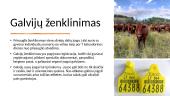 Galvijų, avių ir ožkų ženklinimas 11 puslapis