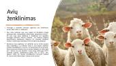Galvijų, avių ir ožkų ženklinimas 14 puslapis