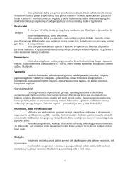 Gyvūnų karalystės požymiai 11 puslapis