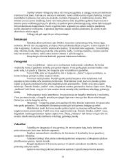 Gyvūnų karalystės požymiai 13 puslapis