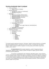 Gyvūnų karalystės požymiai 3 puslapis