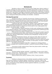 Gyvūnų karalystės požymiai 7 puslapis