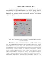 Naujagimių, kuriems nustatytas imunodeficito virusas slauga 10 puslapis