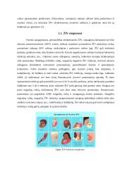 Naujagimių, kuriems nustatytas imunodeficito virusas slauga 5 puslapis