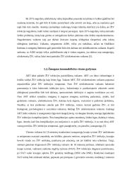 Naujagimių, kuriems nustatytas imunodeficito virusas slauga 6 puslapis