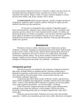 Gyvūnų rūšys ir jų tipai 2 puslapis