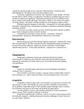 Gyvūnų rūšys ir jų tipai 3 puslapis