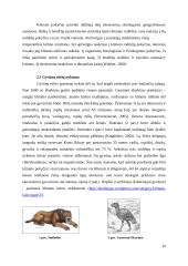 Gyvūnų rūšių nykimas ir kaita dėl klimato pokyčių 8 puslapis